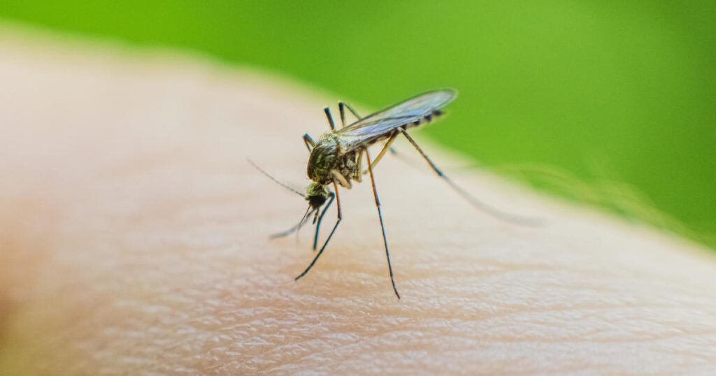 Health officials say 2 dead from West Nile virus in New Jersey